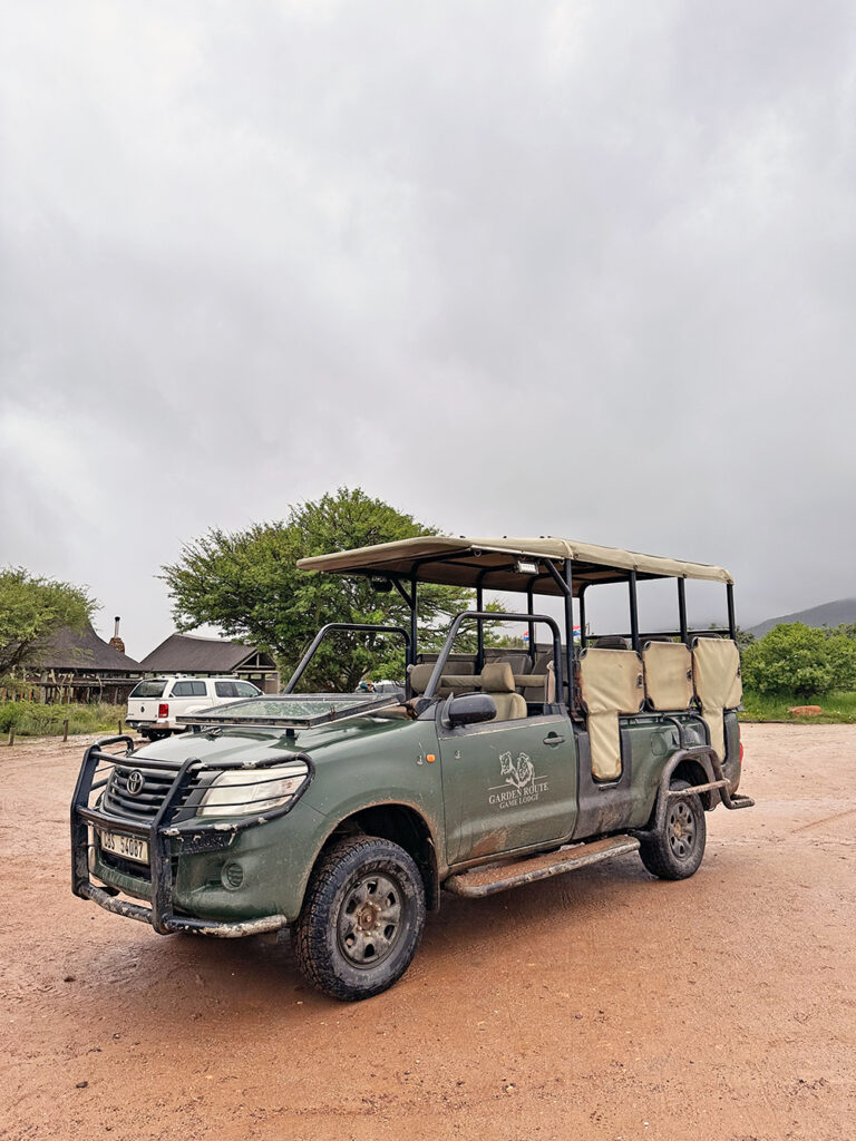 South Africa Safari Jeep