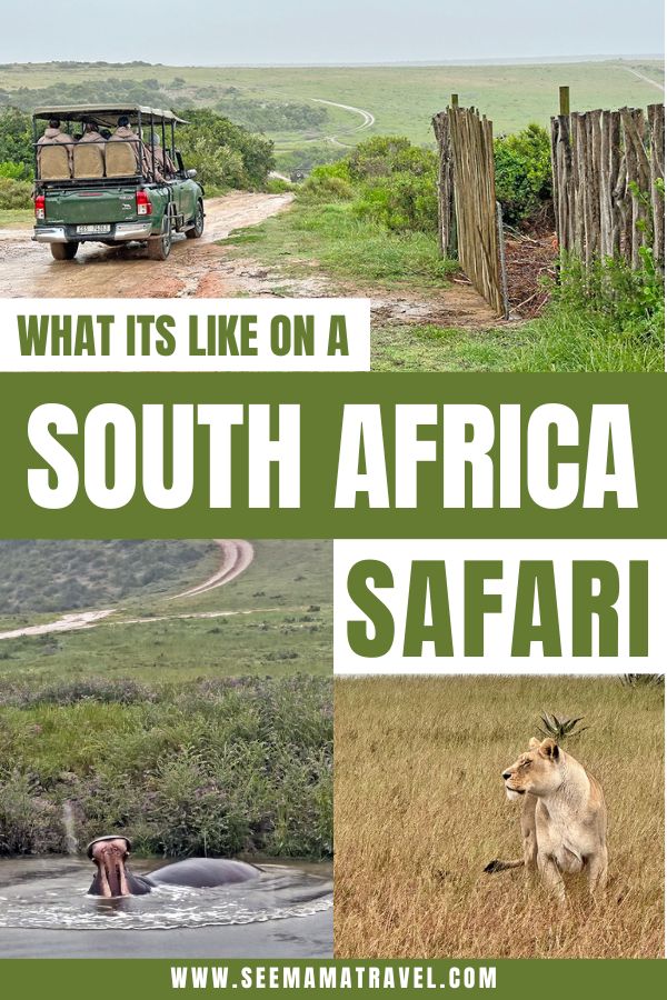 South Africa Safari, waht it's like. Safari review