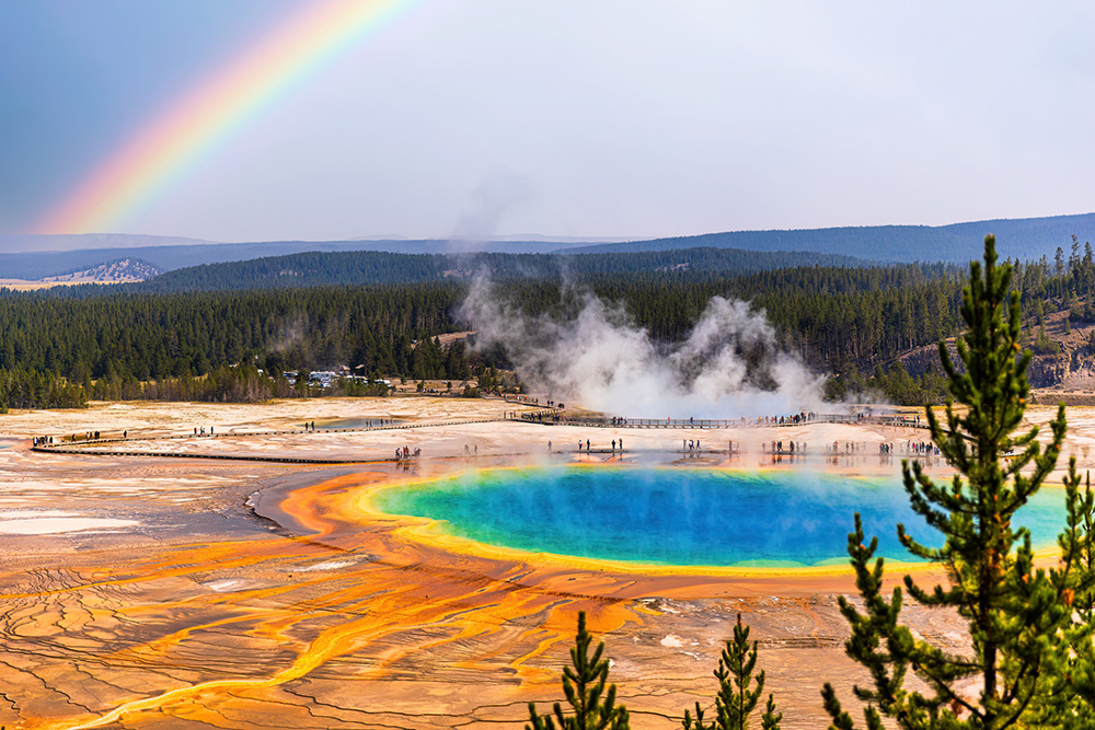 Yellowstone national park with kids